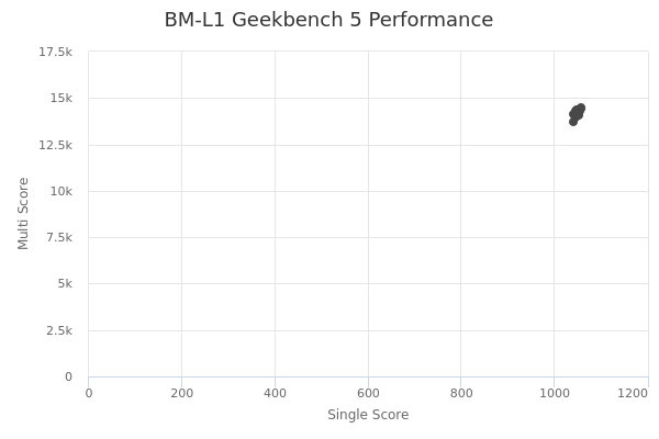 BM-L1's Geekbench 5 performance