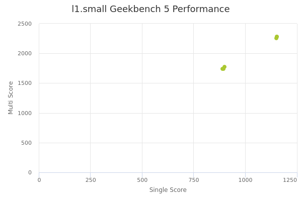 l1.small's Geekbench 5 performance